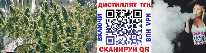 ТГК жижа  наркотики  Козьмодемьянск 